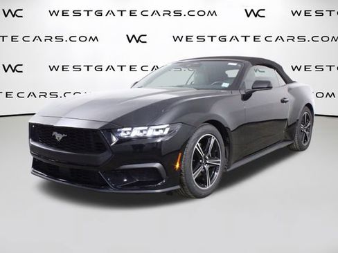 Used 2024 Ford Mustang Premium image 1