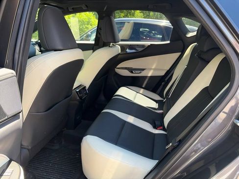 Used 2024 Lexus NX 350 AWD w/ Cold Area Package image 6