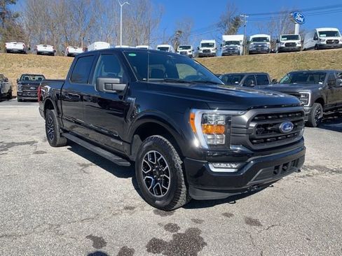 Certified 2023 Ford F150 XLT w/ Equipment Group 302A High image 2