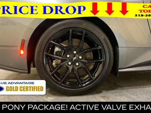 Certified 2025 Ford Mustang GT Premium w/ Mustang Nite Pony Package RWD image 15