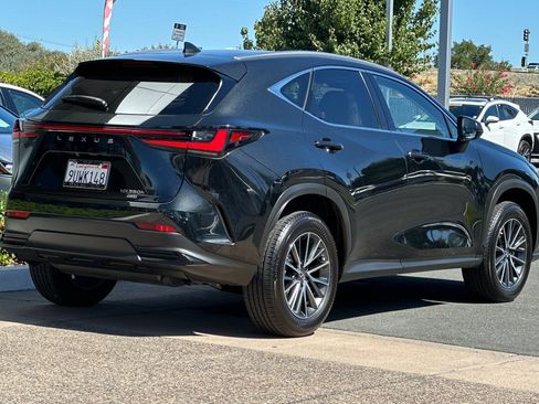Certified 2025 Lexus NX 350h AWD w/ Cold Area Package image 4