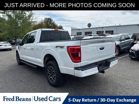 Used 2023 Ford F150 XLT w/ Equipment Group 302A High AWD/4WD image 6