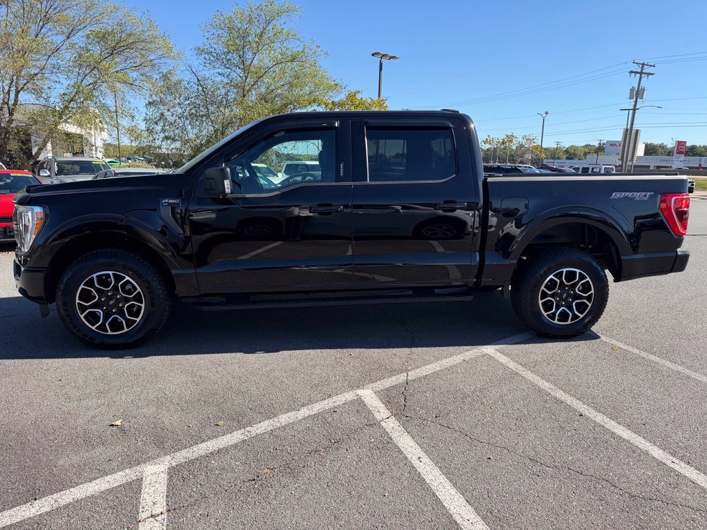 Used 2023 Ford F150 XLT w/ Equipment Group 302A High AWD/4WD image 4
