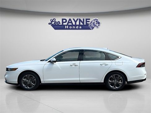 Used 2025 Honda Accord EX-L image 3