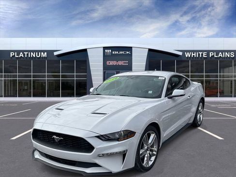 Used 2020 Ford Mustang Premium w/ Equipment Group 201A image 4