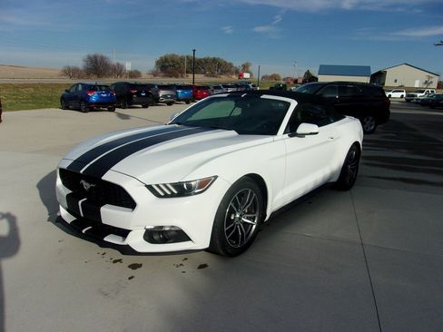 Used 2017 Ford Mustang Premium image 7