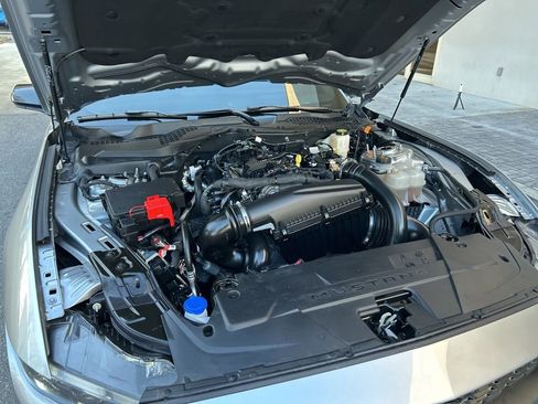 Used 2025 Ford Mustang Premium w/ Mustang Nite Pony Package image 12