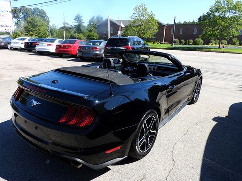 Used 2018 Ford Mustang Premium w/ Equipment Group 201A image 7