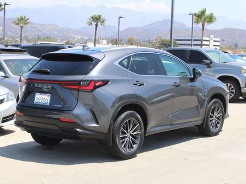 Certified 2024 Lexus NX 250 FWD w/ Cold Area Package image 21
