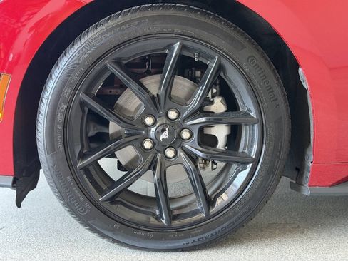 Used 2024 Ford Mustang Premium w/ Mustang Nite Pony Package RWD image 35