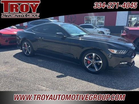 Used 2016 Ford Mustang Premium w/ Equipment Group 201A image 3