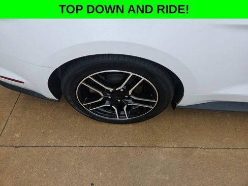 Used 2023 Ford Mustang Premium image 13