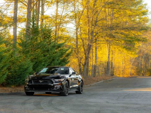 Used 2017 Ford Mustang GT Premium w/ GT Performance Package image 40