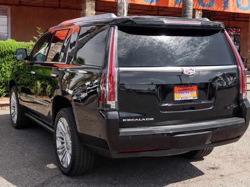 Used 2019 Cadillac Escalade Platinum image 6