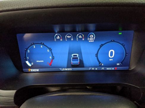 New 2025 Ford F150 STX w/ Equipment Group 200A image 17