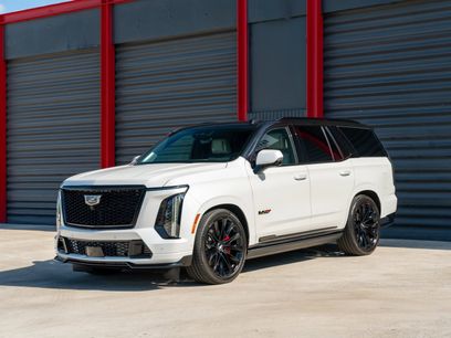 Used 2025 Cadillac Escalade V w/ LPO, ONYX Package