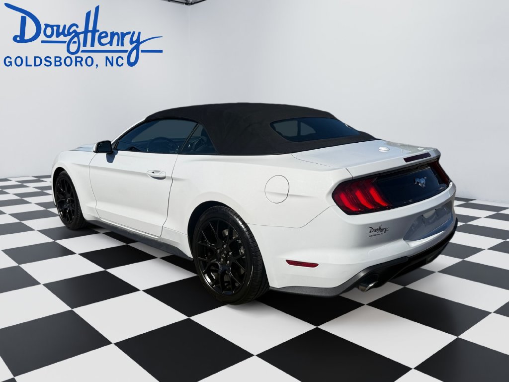 Used 2019 Ford Mustang Convertible w/ Ecoboost Performance Package RWD image 3