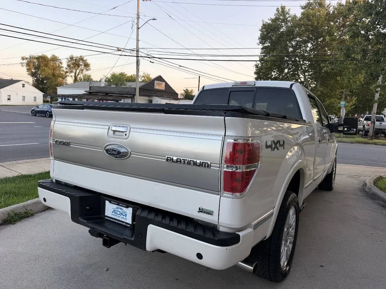 Used 2010 Ford F150 Platinum AWD/4WD image 8