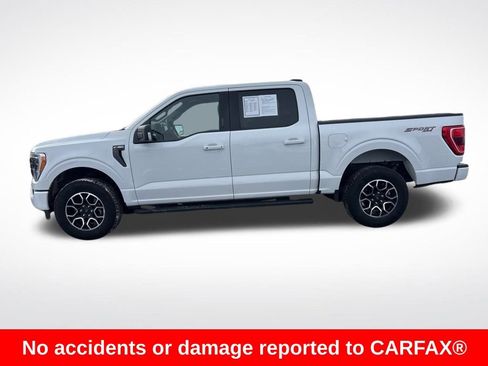 Used 2023 Ford F150 XLT w/ Equipment Group 302A High image 2