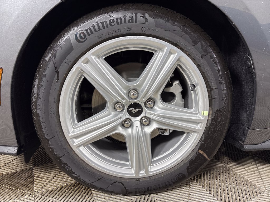 New 2026 Ford Mustang Premium RWD image 12