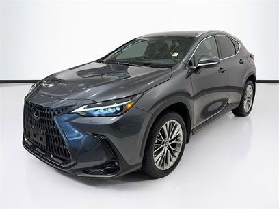 Used 2022 Lexus NX 350 AWD w/ Luxury Package