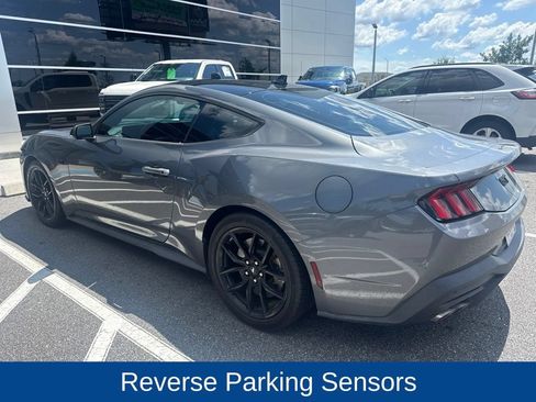Used 2024 Ford Mustang GT Premium w/ Mustang Nite Pony Package RWD image 4