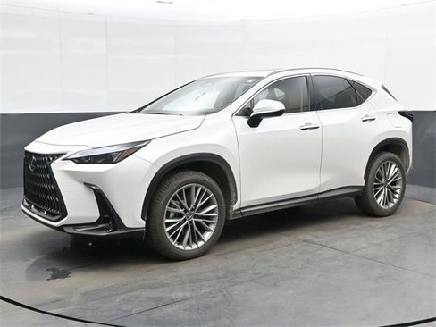 Used 2025 Lexus NX 350h AWD w/ Premium Package image 4