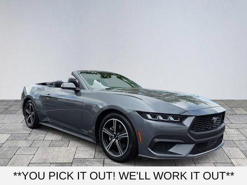 Used 2024 Ford Mustang Premium RWD image 1