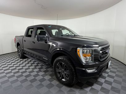 Used 2023 Ford F150 XLT w/ Equipment Group 302A High