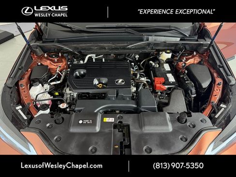 Used 2025 Lexus NX 250 FWD w/ Premium Package image 15