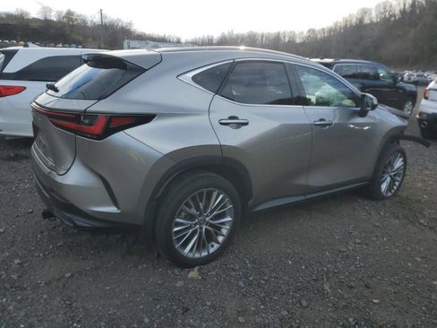 Used 2025 Lexus NX 350h AWD w/ Premium Package image 5