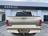 Used 2019 Ford F150 Platinum w/ Equipment Group 701A Luxury image 5