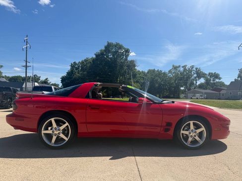 Used 1998 Pontiac Firebird Formula RWD image 2