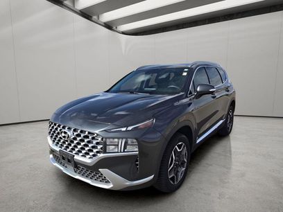 Used 2023 Hyundai Santa Fe SEL Premium