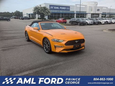 Used 2019 Ford Mustang Premium w/ Equipment Group 201A RWD image 1