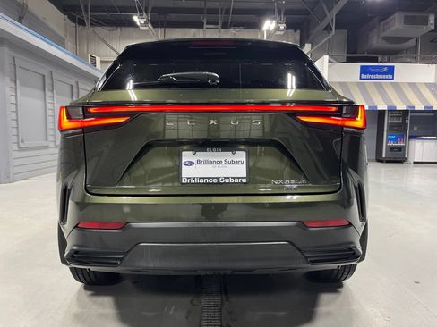 Used 2024 Lexus NX 350h AWD w/ Cold Area Package image 6