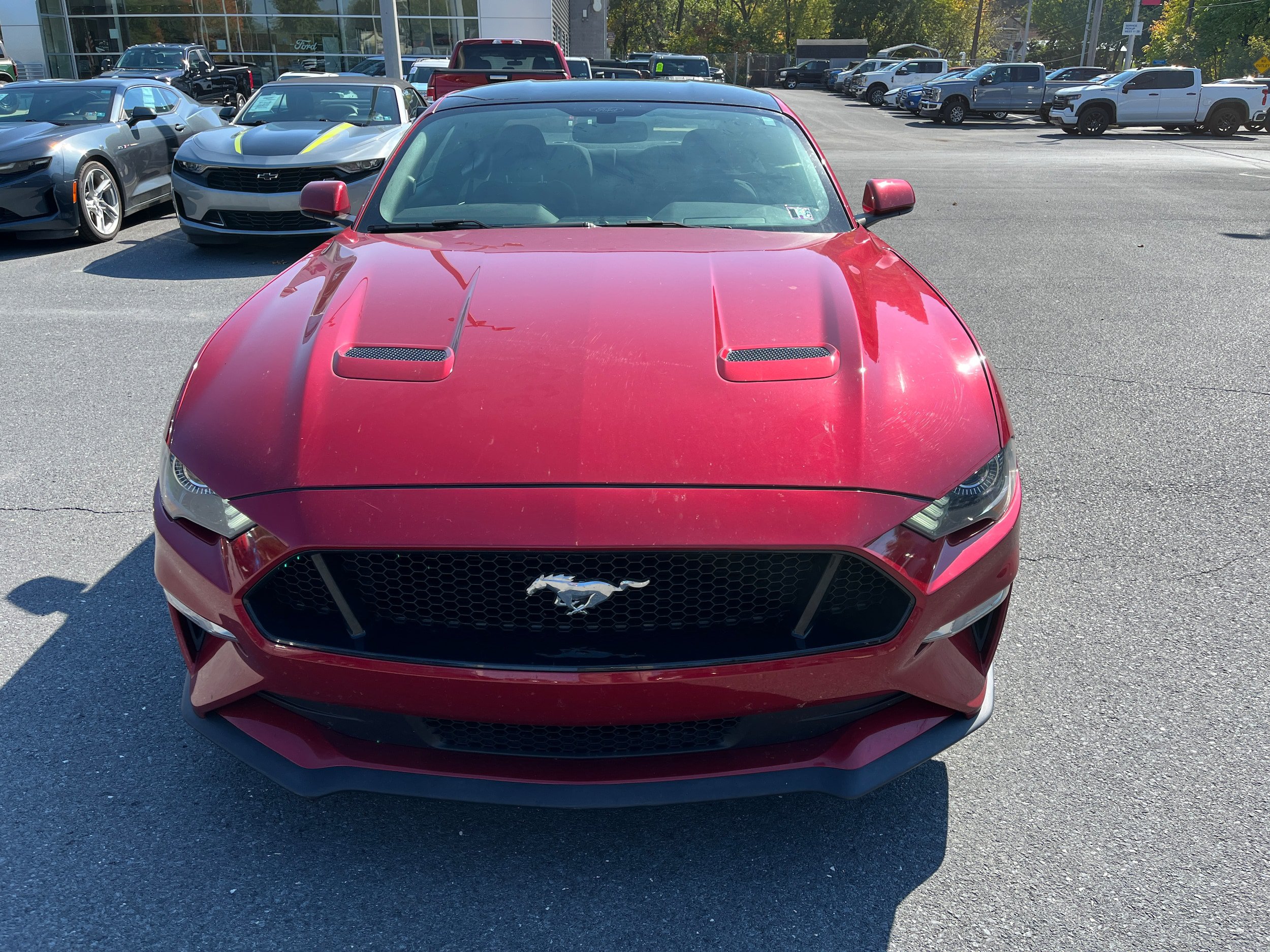 Certified 2020 Ford Mustang GT w/ Equipment Group 301A RWD image 3