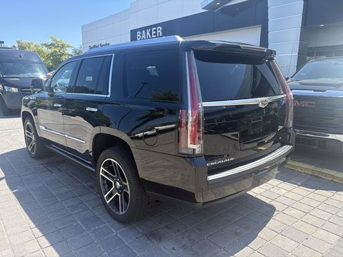 Used 2015 Cadillac Escalade Premium image 7