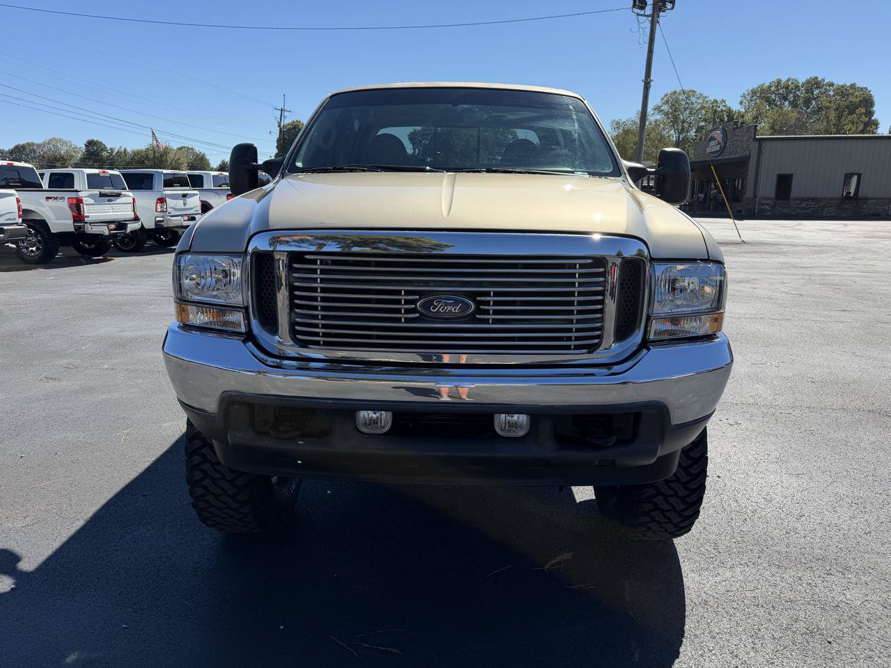 Used 2001 Ford F250 Lariat AWD/4WD image 7