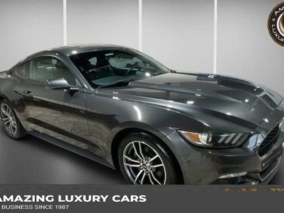 Used 2017 Ford Mustang Premium w/ Equipment Group 201A