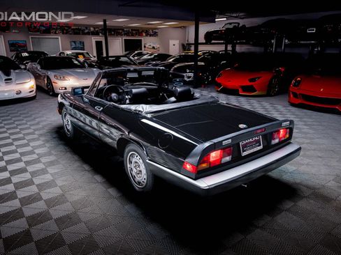 Used 1986 Alfa Romeo Spider Veloce image 47