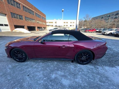 Used 2025 Ford Mustang Premium w/ Mustang Nite Pony Package image 4