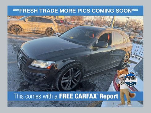 Used 2015 Audi SQ5 Premium Plus w/ Technology Package image 1