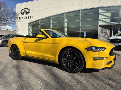 Used 2018 Ford Mustang Premium w/ Equipment Group 201A image 1