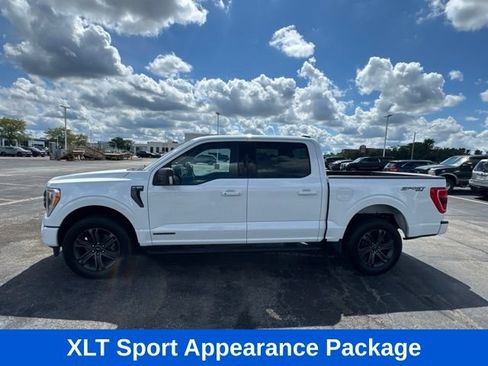 Used 2023 Ford F150 XLT w/ Equipment Group 302A High AWD/4WD image 4