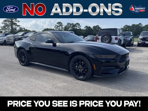 Used 2025 Ford Mustang Coupe w/ Mustang Nite Pony Package RWD image 1