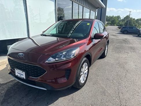 Used 2021 Ford Escape SE AWD/4WD image 3