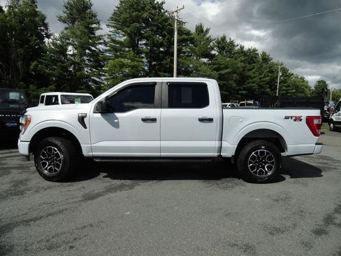 Used 2022 Ford F150 XL w/ STX Appearance Package AWD/4WD image 8