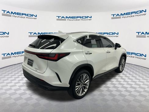 Used 2025 Lexus NX 350h AWD w/ Cold Area Package image 4