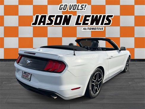 Used 2023 Ford Mustang Premium w/ Equipment Group 201A image 5